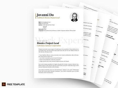 Curriculum Vitae Freebie