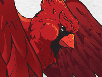 Cardinal bird cardinal feather graphic graphic design illustration illustrator pen tool red vector wings