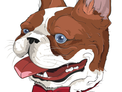 French Bulldog brown bulldog design dog french french bulldog graphic illustration illustrator vector white