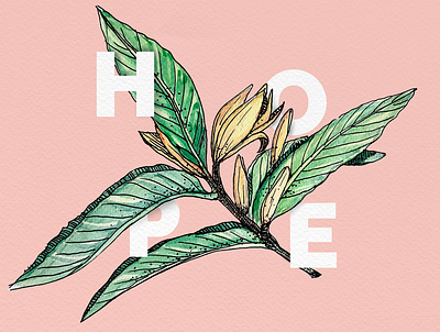 Art for hope - Champak drawing illustration