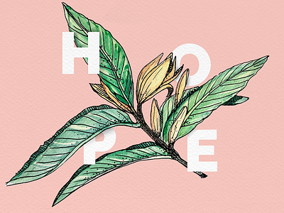 Art for hope - Champak