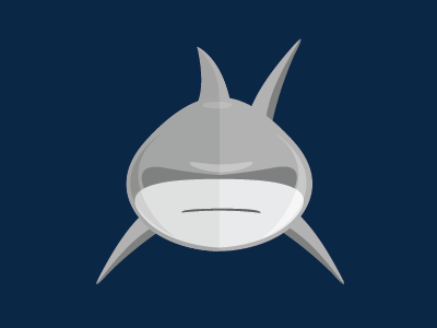 Shark illustration shark vector