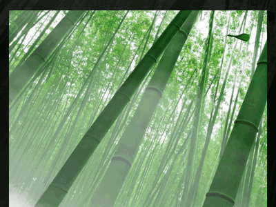 Explore Japan - Kyoto [WIP] animated japan kyoto parallax webflow wip