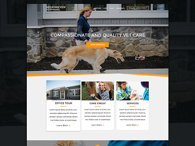 Mountainview Vet Homepage ui ux web design website