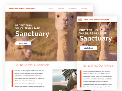 Animal Sanctuary Mobile to Web animal sanctuary animals branding dailyui design ui user experience user interface user interface design userinterface ux uxui