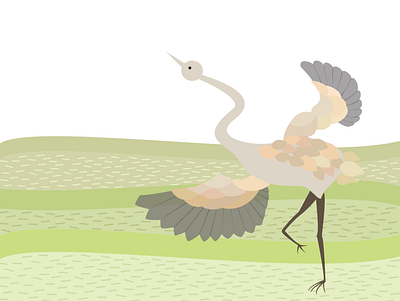 Crane birds field illustration illustration design imagination tea vector