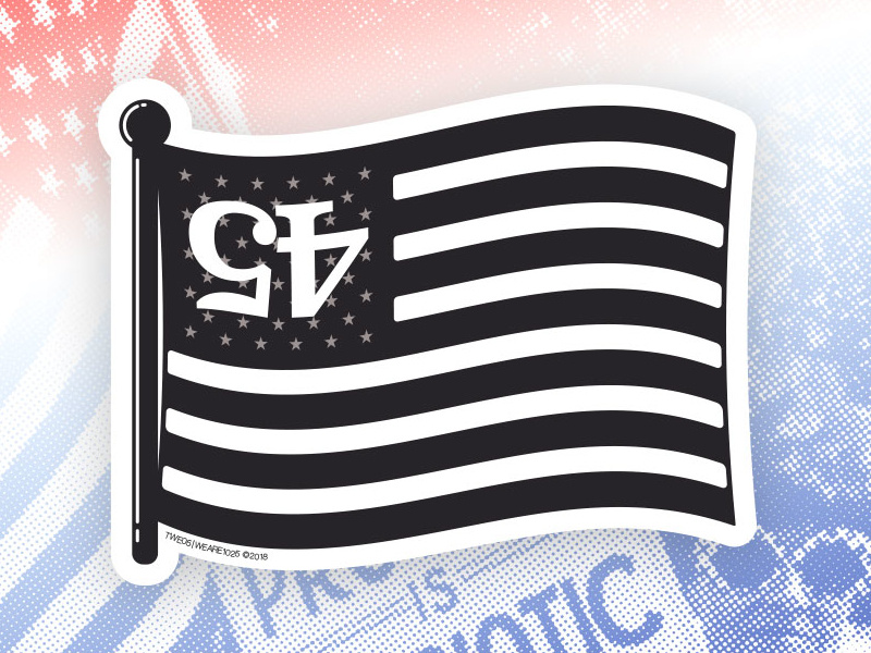 45 Flag this is not ok protest dissent flag 45