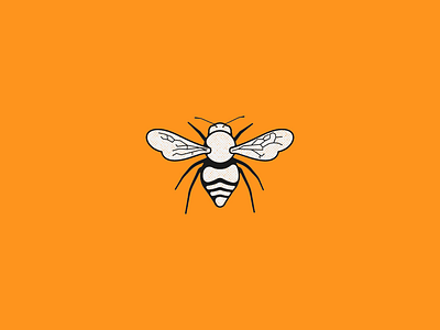 🐝 bee buzz illustration
