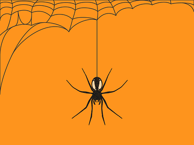 🕷 🕸 arachnophobia illustration spider texture