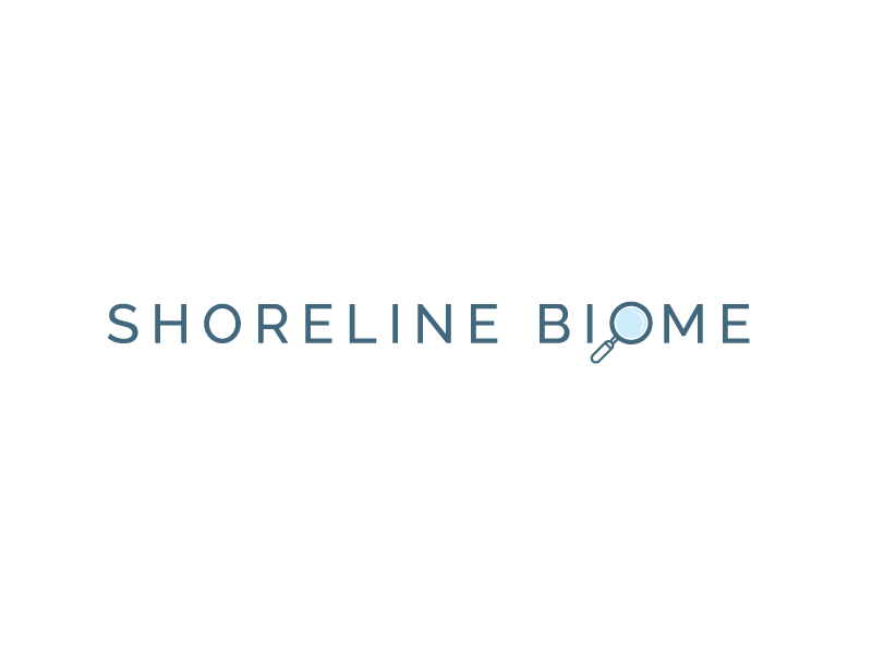 Shoreline Biome - Logo Concept 2 beach branding business doctor glass logo magnifying minimal professional shroeline simple typography