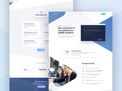 Developer landing page browser design faqs illustration landing page navigation serif stats ui ux website