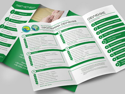 Brochure Design graphic design health care print ad trifold brochure