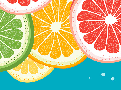 Citrus Vector Illustration adobe illustrator citrus section vector artwork vector background