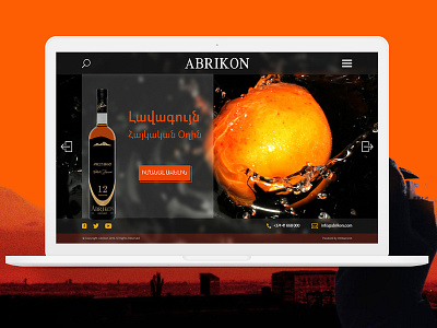 Abrikon Vodka adobe xd ui ux web