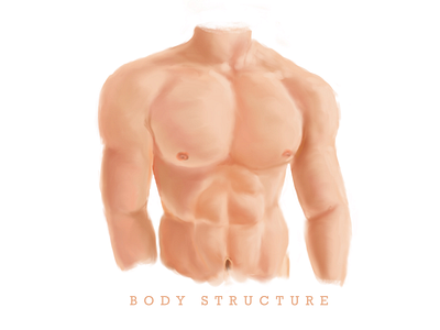 body structure body design illustration painting procreate structure
