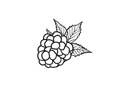 blackberry, made in vector and isolated, black line background berries branch engraved fresh healthy huckleberry jam leaf meal monochrome object pattern raw ripe season summer symbol vitamin wild