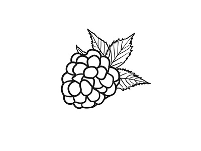 blackberry, made in vector and isolated, black line