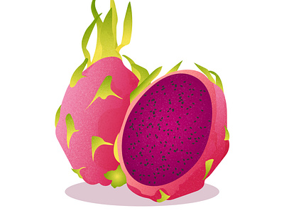 dragon fruit on a white background in bright colors, made in vec