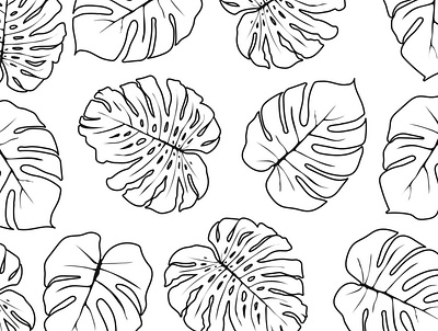 tropical leaves on a white background in black and white made in banana beautiful beauty closeup color decor different environment herb hipster home house houseplant jungle orchid organic rotundifolia season spring tropic