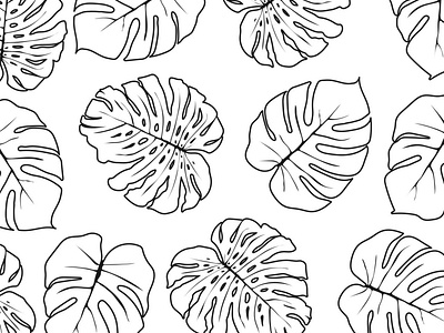 tropical leaves on a white background in black and white made in