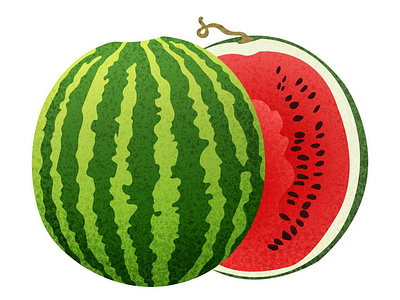 watermelon made in vector and isolated on white background