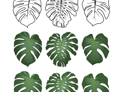 tropical leaves on a white background made in vector banana beautiful beauty closeup color decor different environment herb hipster home house houseplant jungle orchid organic rotundifolia season spring tropic