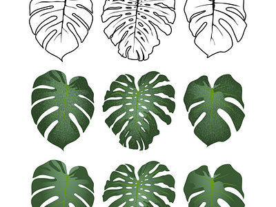 tropical leaves on a white background made in vector