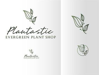 Plantastic - evergreen plant shop brand branding design graphic graphic design icon illustrator cc logo plant shop vector