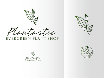 Plantastic - evergreen plant shop