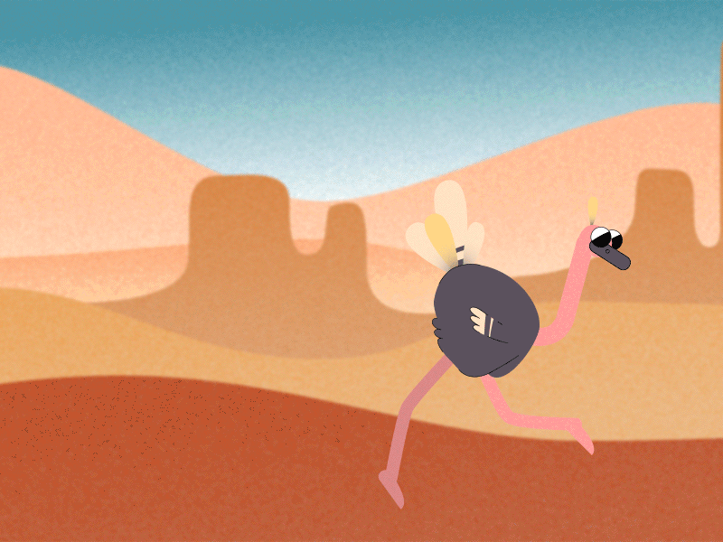 Ostrich after effects animation 2d motion design ostrich run