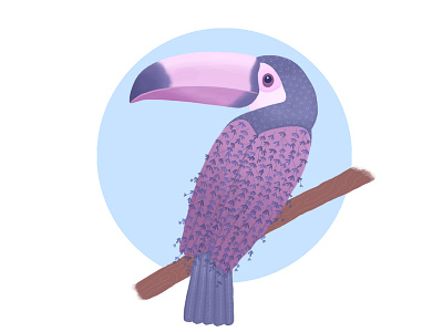 Lavander Toucan digital painting flat illustration toucan