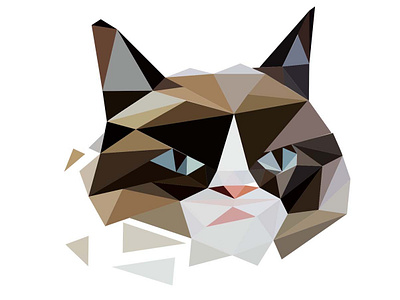 grumpy cat cat grumpy illustrator vector