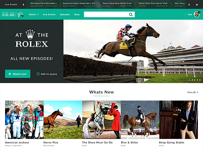 Equine Video Streaming Site