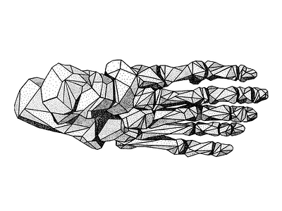 Foot anatomical dot shading dot work drawing foot illustration liner