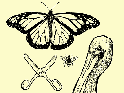 You guys bee butterfly drawing pen pen drawing scissors things wacom yellow