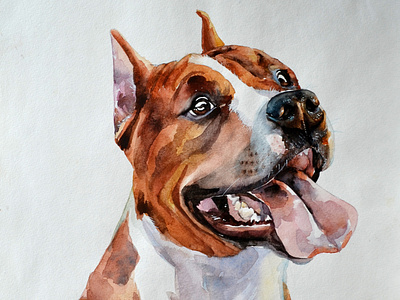 Staffordshire terrier animal animal art dog dog illustration illustration portait portrait illustration