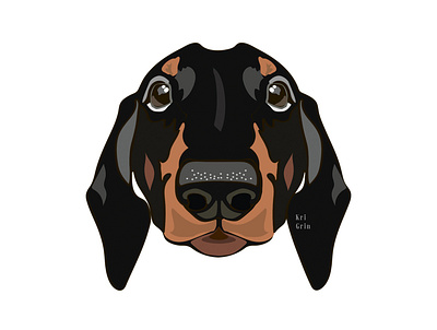 Dachshund illustration portait графика дизайн домашние животные животные искусство животных компьютерная графика собака такса