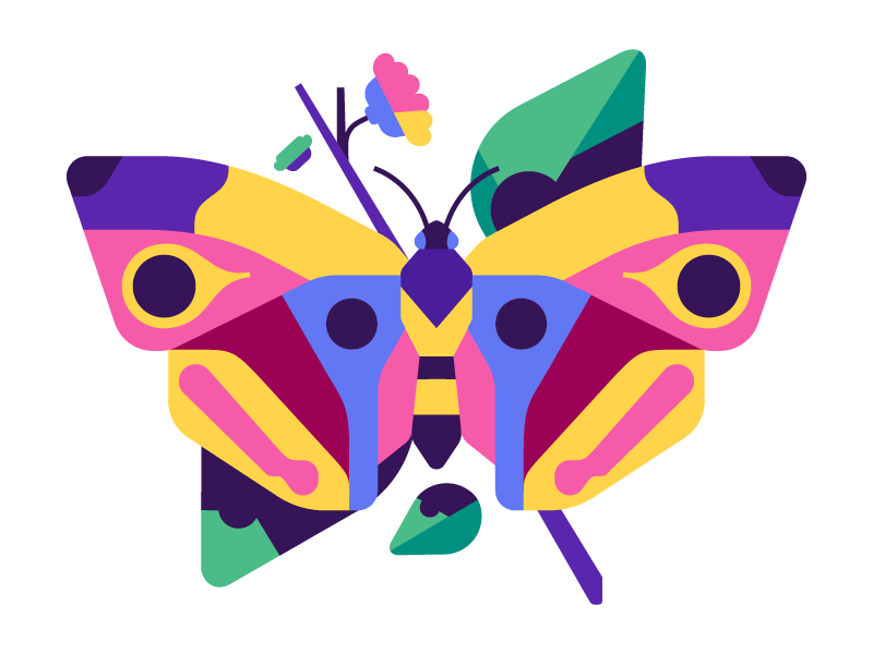 Butterfly butterfly vector simple flat illustration stolz