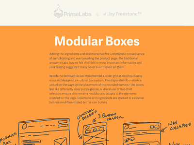 Section of Prime Labs Case Study design grid portfolio website