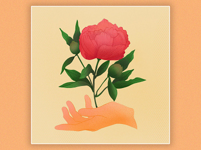 flower digitalart flower hand illustration peony pink procreate