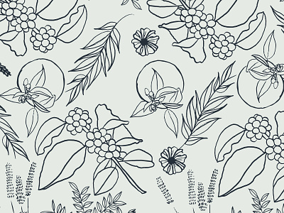 Brewpoint Coffee - Floral Pattern coffee coffee plant digital illustration floral illustration pattern