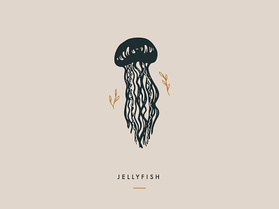 Jellyfish