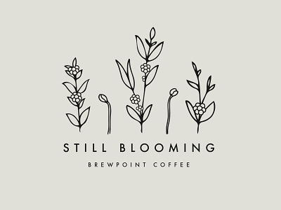 Still Blooming - Brewpoint Coffee blooming coffee coffee bean coffee cherry coffee shop design digital digital illustration drawing floral growing growth illustration self care typography