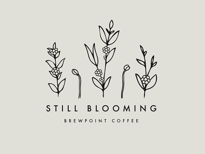 Still Blooming - Brewpoint Coffee blooming coffee coffee bean coffee cherry coffee shop design digital digital illustration drawing floral growing growth illustration self care typography