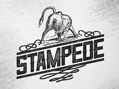 Stampede bull font illustration letterpress logo rodeo rough script type vintage western