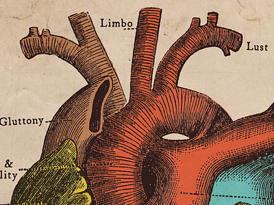 Hell On The Heart art biology color diagram digital art heart illustration letter typography