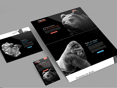 Association of Zoos & Aquariums Website build animals branding color dark digital portrait responsive type typography web