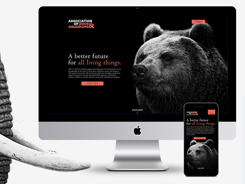 Association of Zoos & Aquariums Website build 2 by Josh Chavis on Dribbble