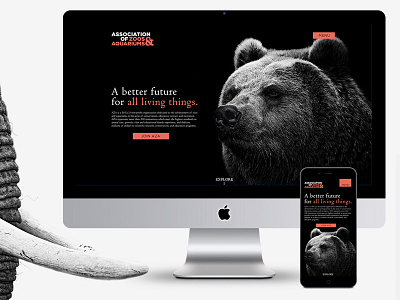 Association of Zoos & Aquariums Website build 2 animals branding color dark digital portrait responsive type typography web