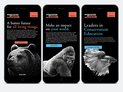 Association of Zoos & Aquariums Website build - Mobile animals branding color dark design mobile portrait type typography ux web zoo